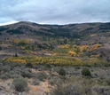 Autumn at the Reynolds Creek CZO in Southwest Idaho; carbon in soil is a research focus.